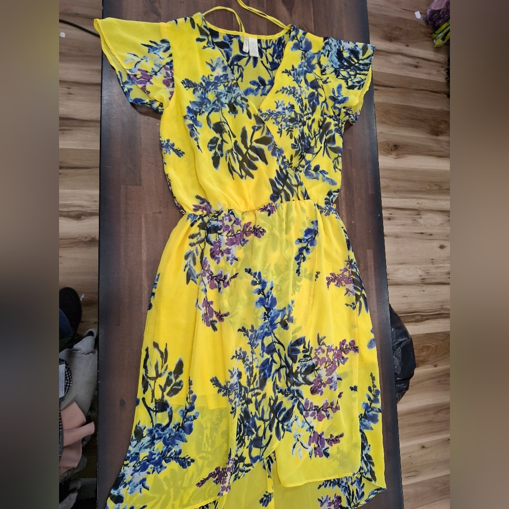 Japna Yellow and Blue Floral Maxi Dress